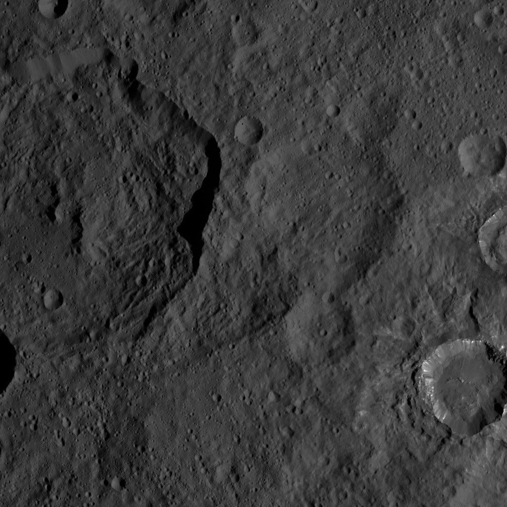 Dawn HAMO Image 25