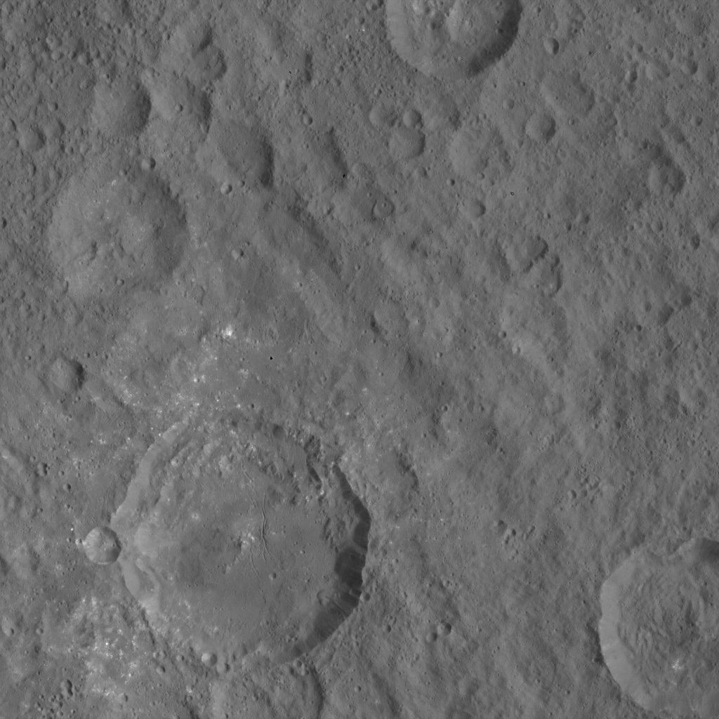 Dawn HAMO Image 27