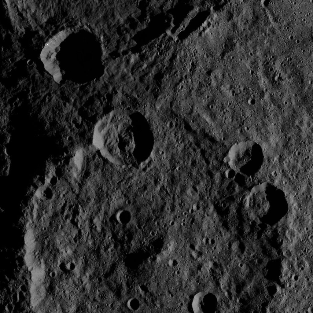 Dawn HAMO Image 28