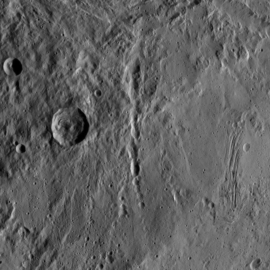 Dawn HAMO Image 34