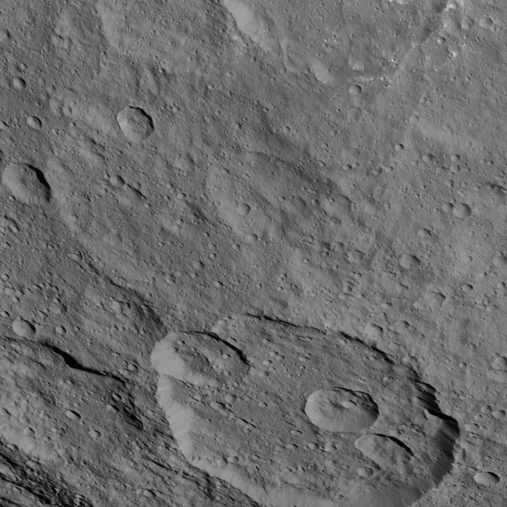 Dawn HAMO Image 38