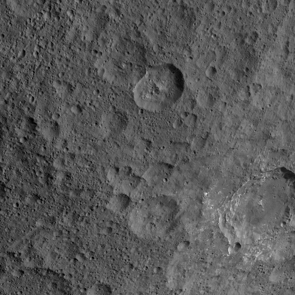 Dawn HAMO Image 45