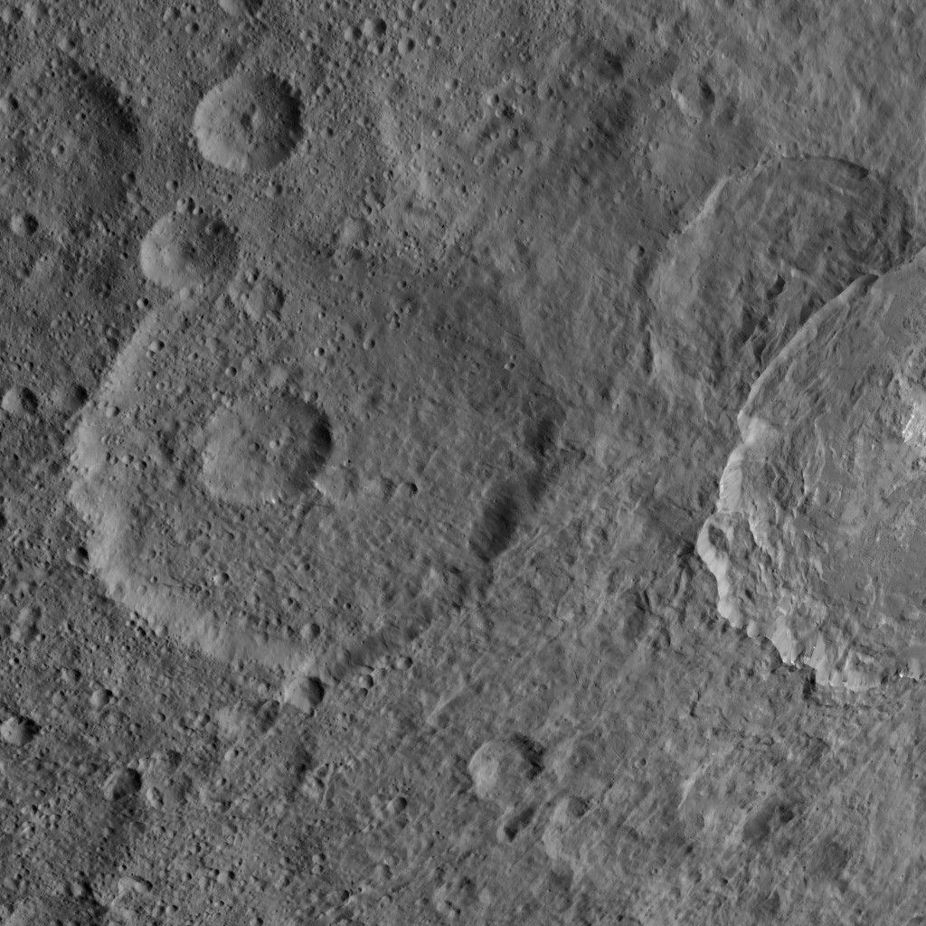 Dawn HAMO Image 49