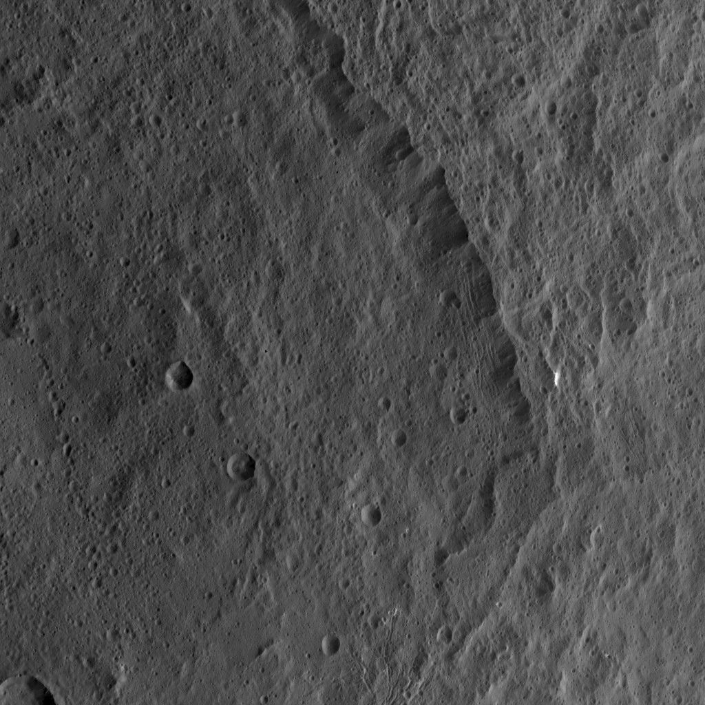 Dawn HAMO Image 68