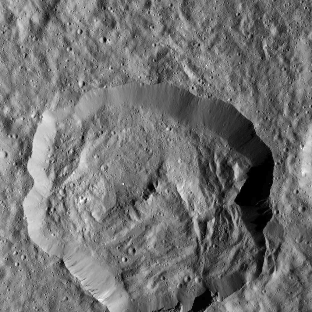 Dawn LAMO Image 5