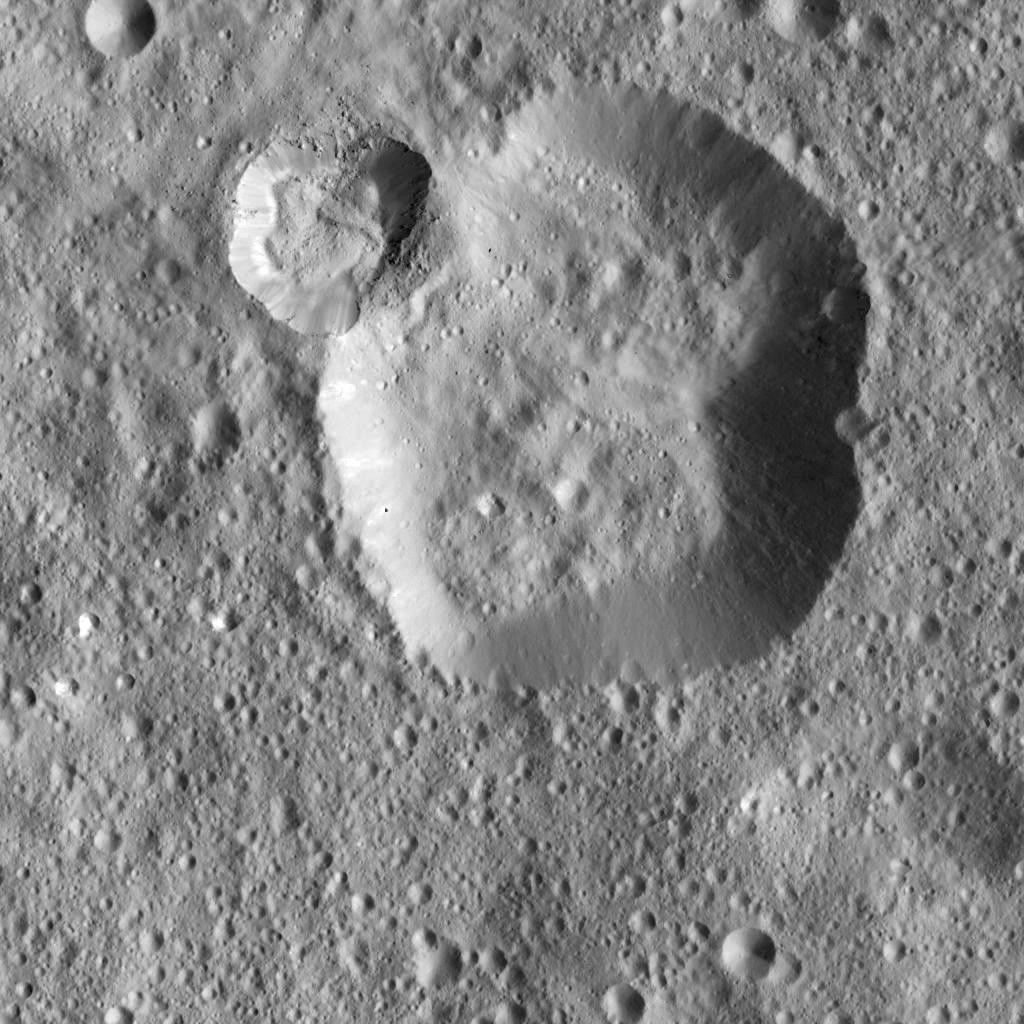 Dawn LAMO Image 6