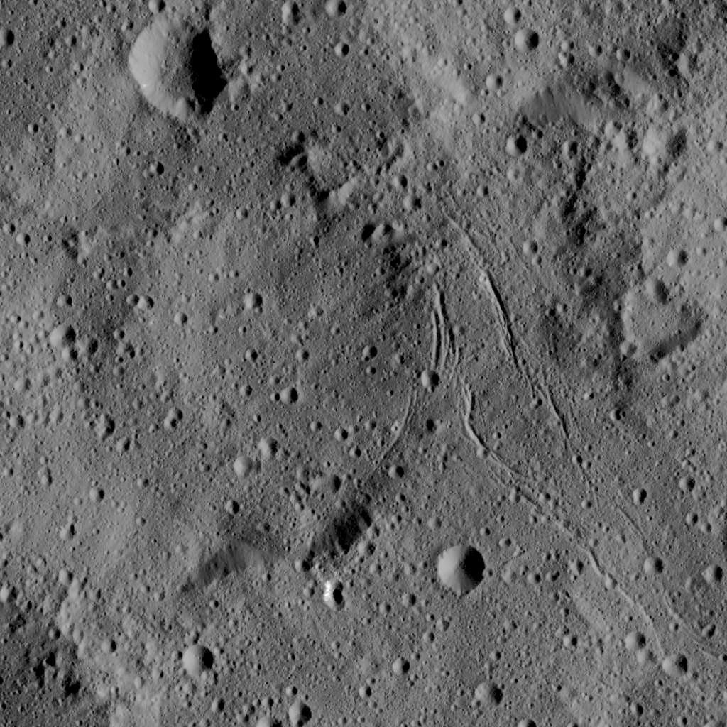 Dawn LAMO Image 9