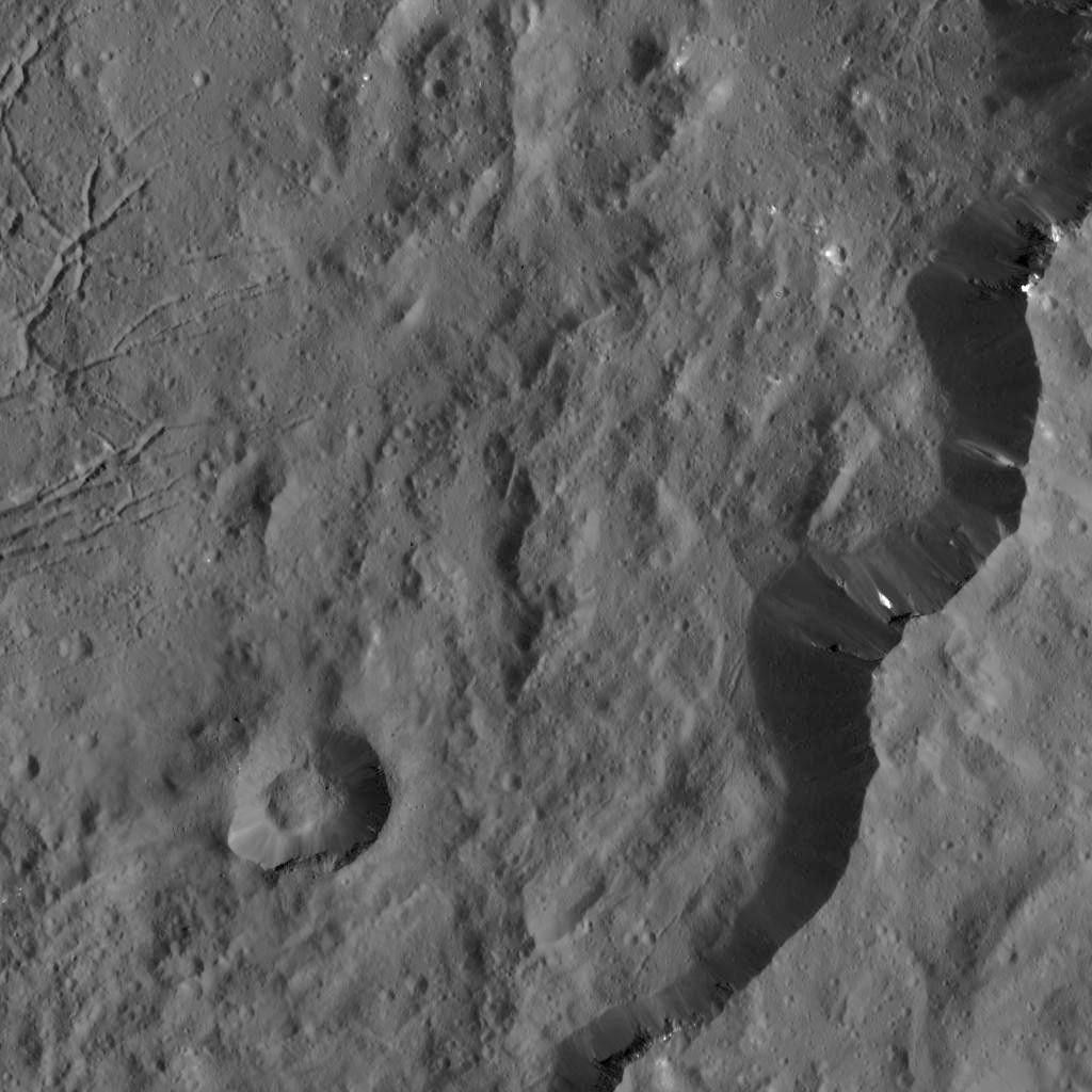 Dawn LAMO Image 10