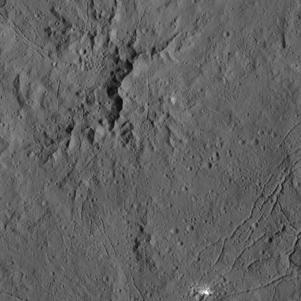 Dawn LAMO Image 13