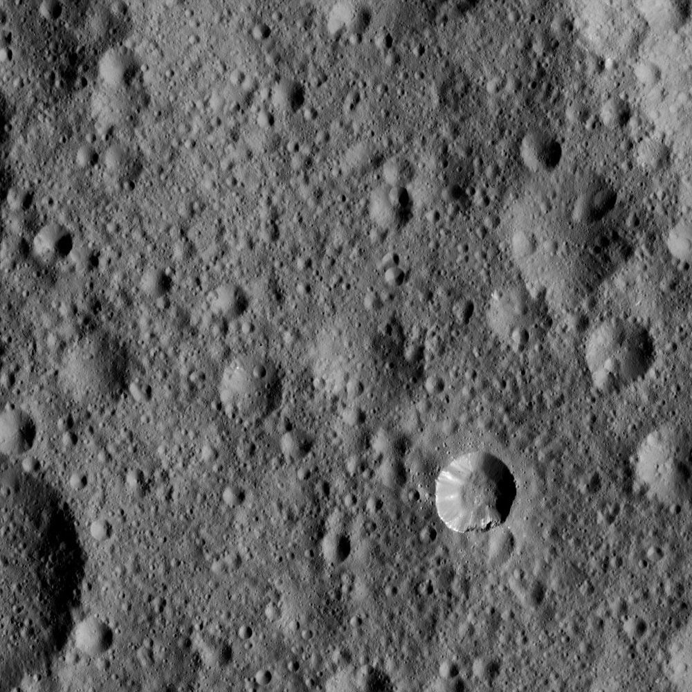 Dawn LAMO Image 61
