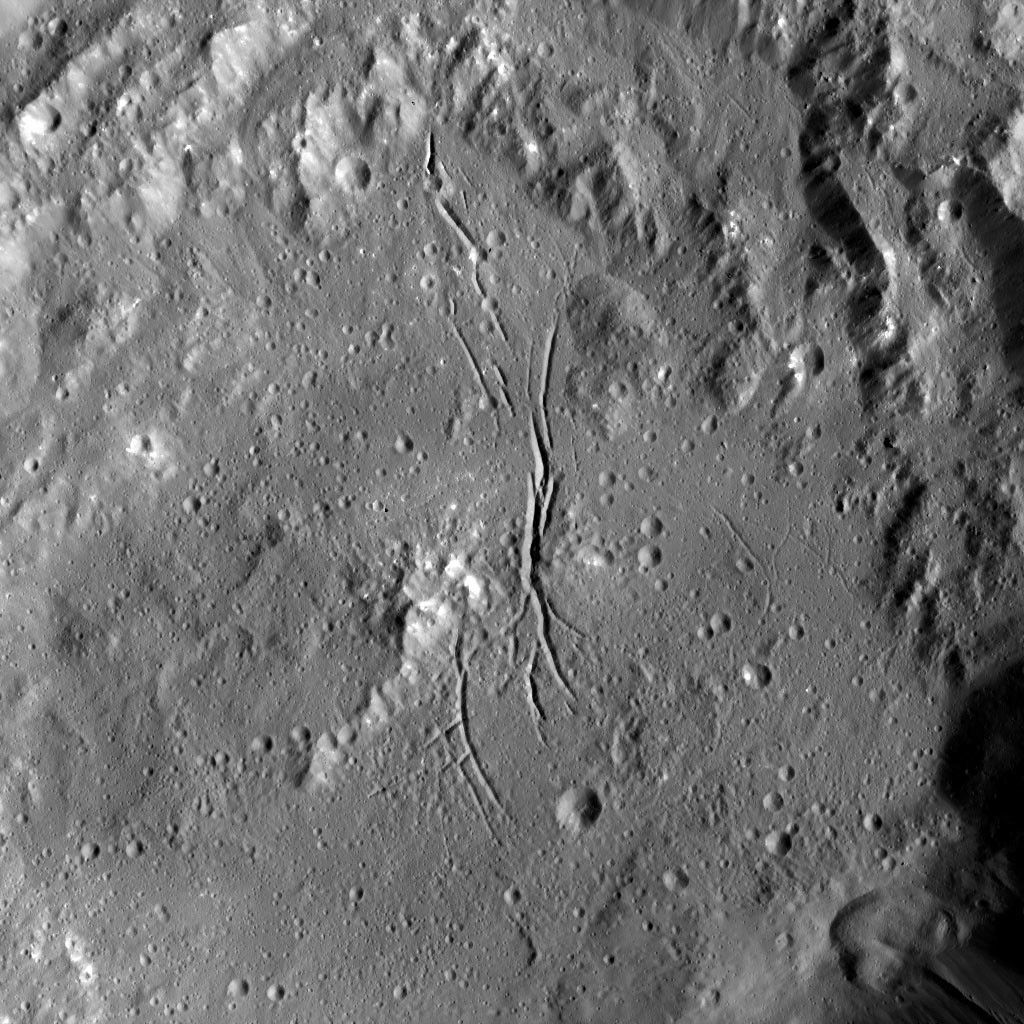 Dawn LAMO Image 80