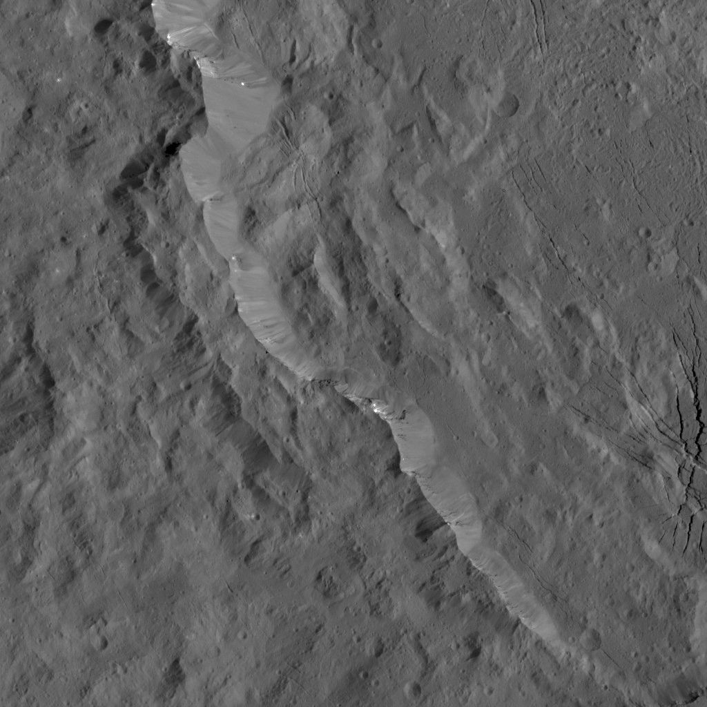 Dawn LAMO Image 123