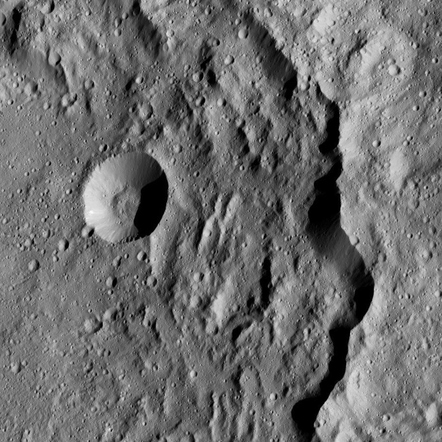 Dawn LAMO Image 160