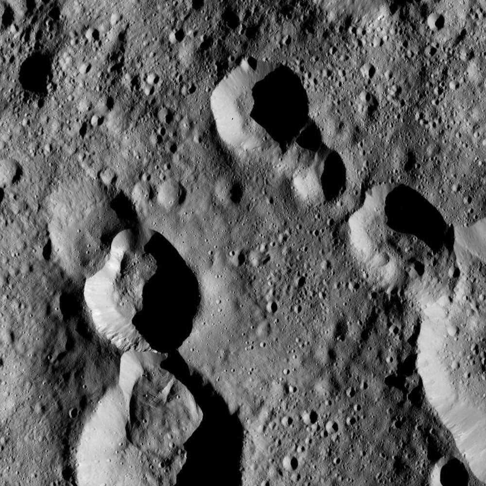 Dawn LAMO Image 167