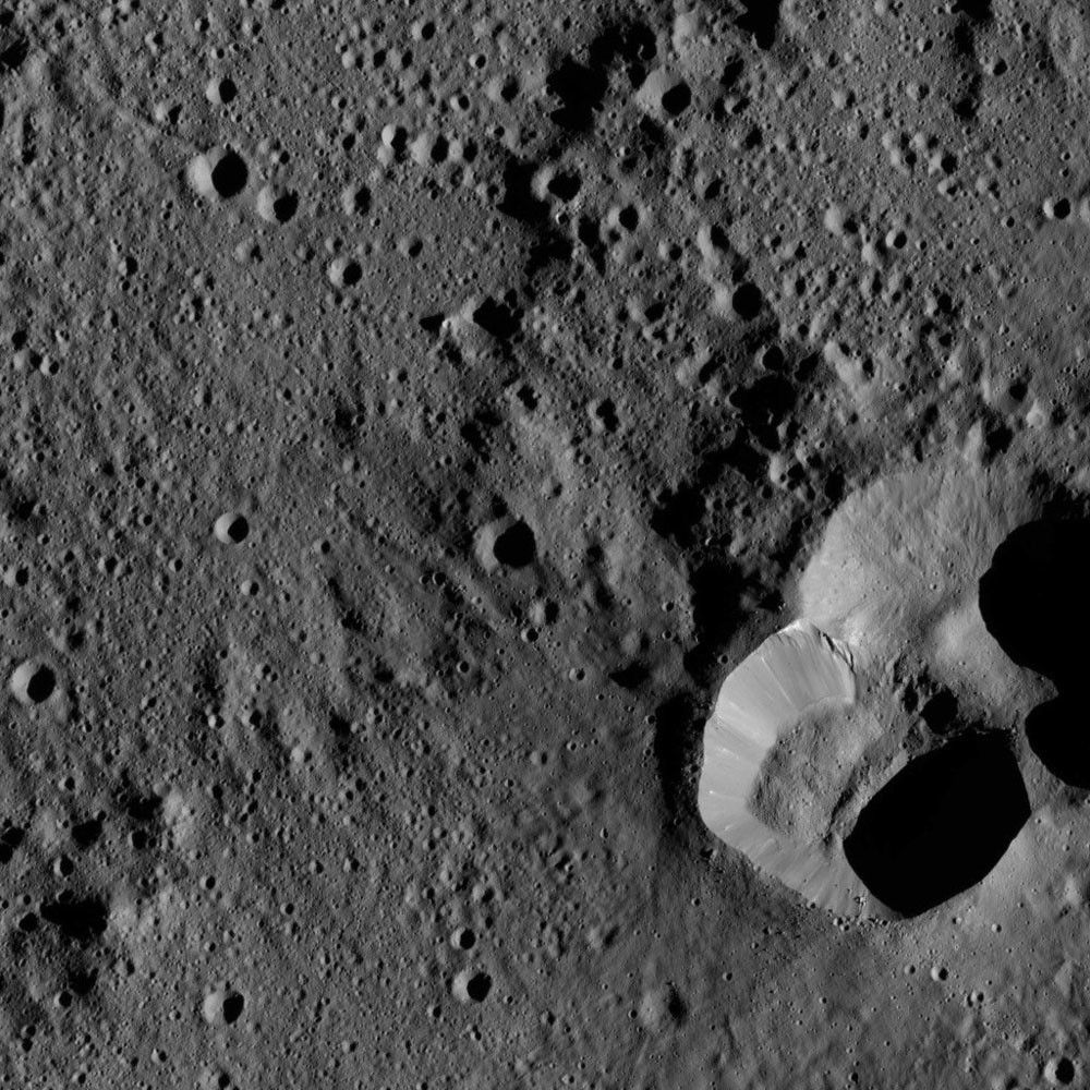 Dawn LAMO Image 183