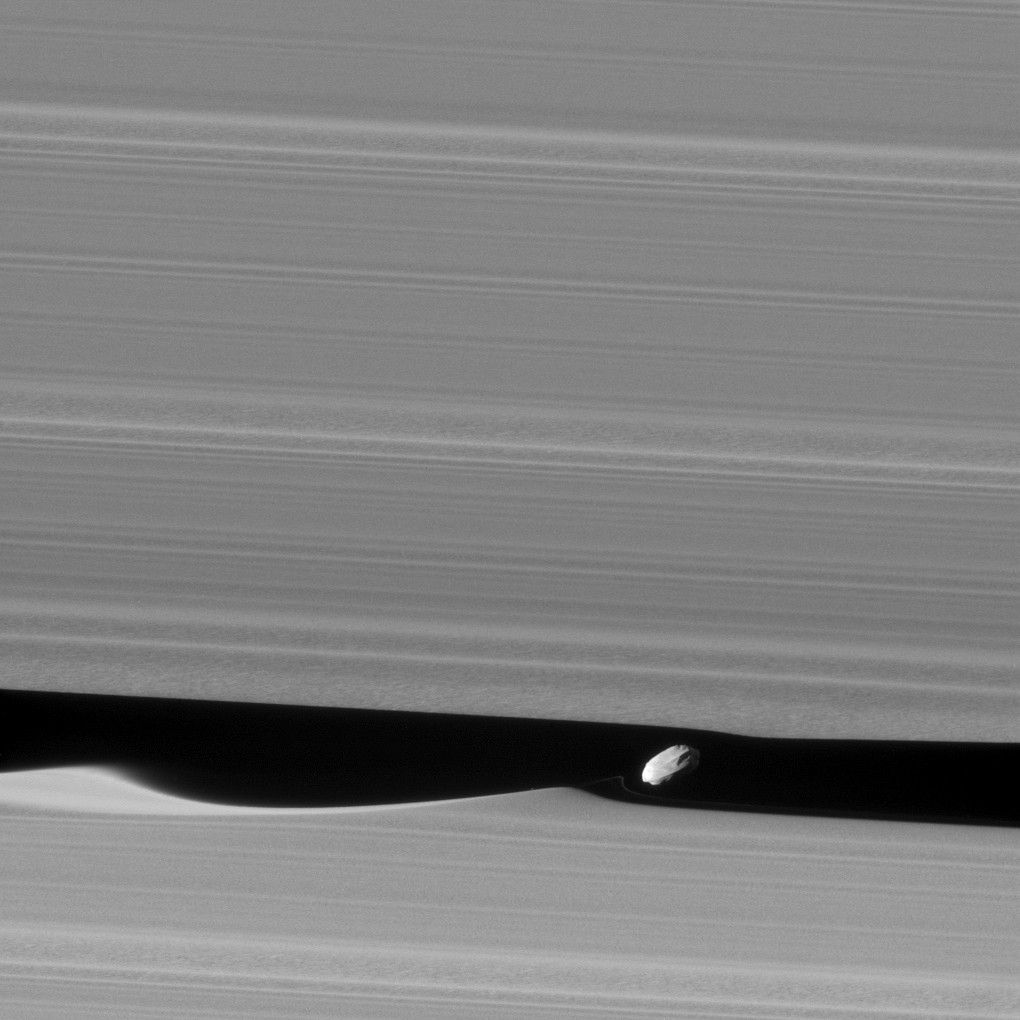 Daphnis and Saturn's rings