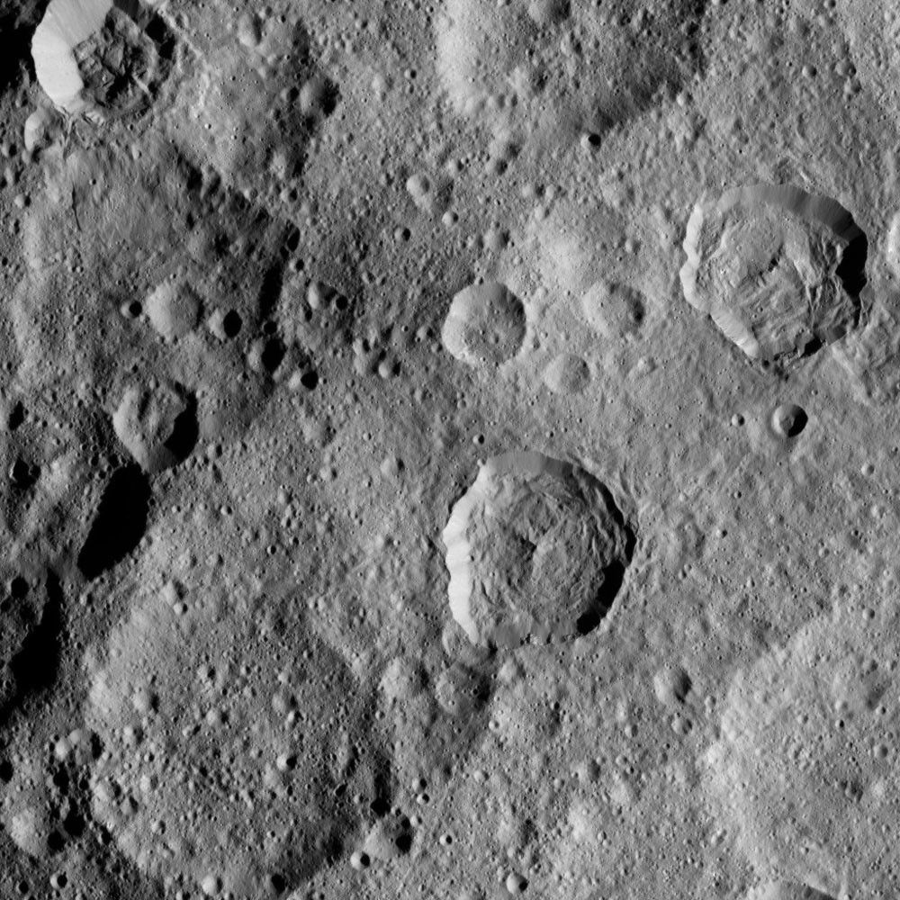 Dawn XMO2 Image 11