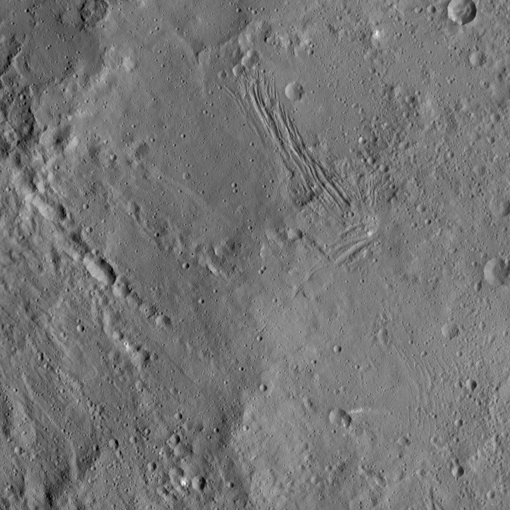 Nar Sulcus