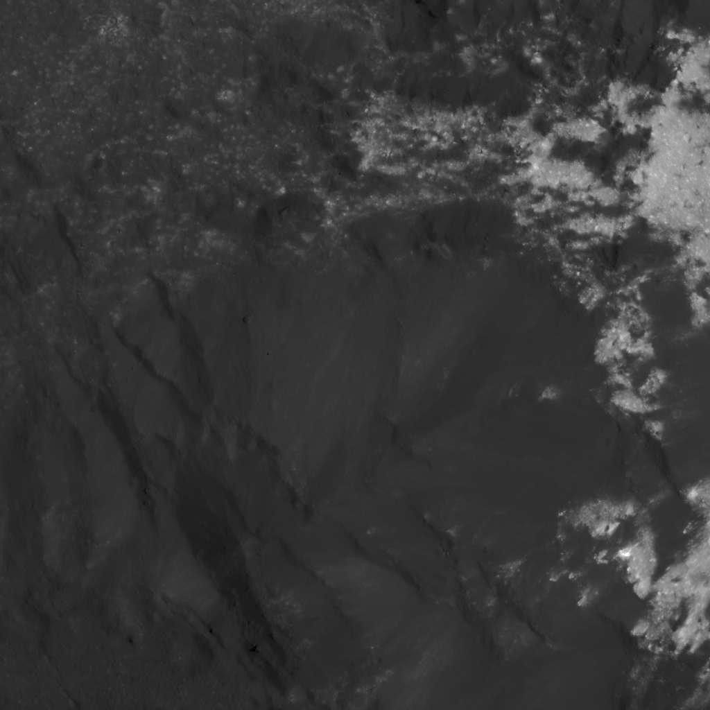 Complex Bright and Dark Material Relationships in Occator Crater