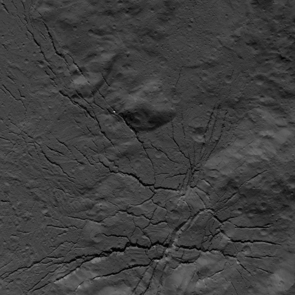 Fracture Network on the Floor of Occator Crater