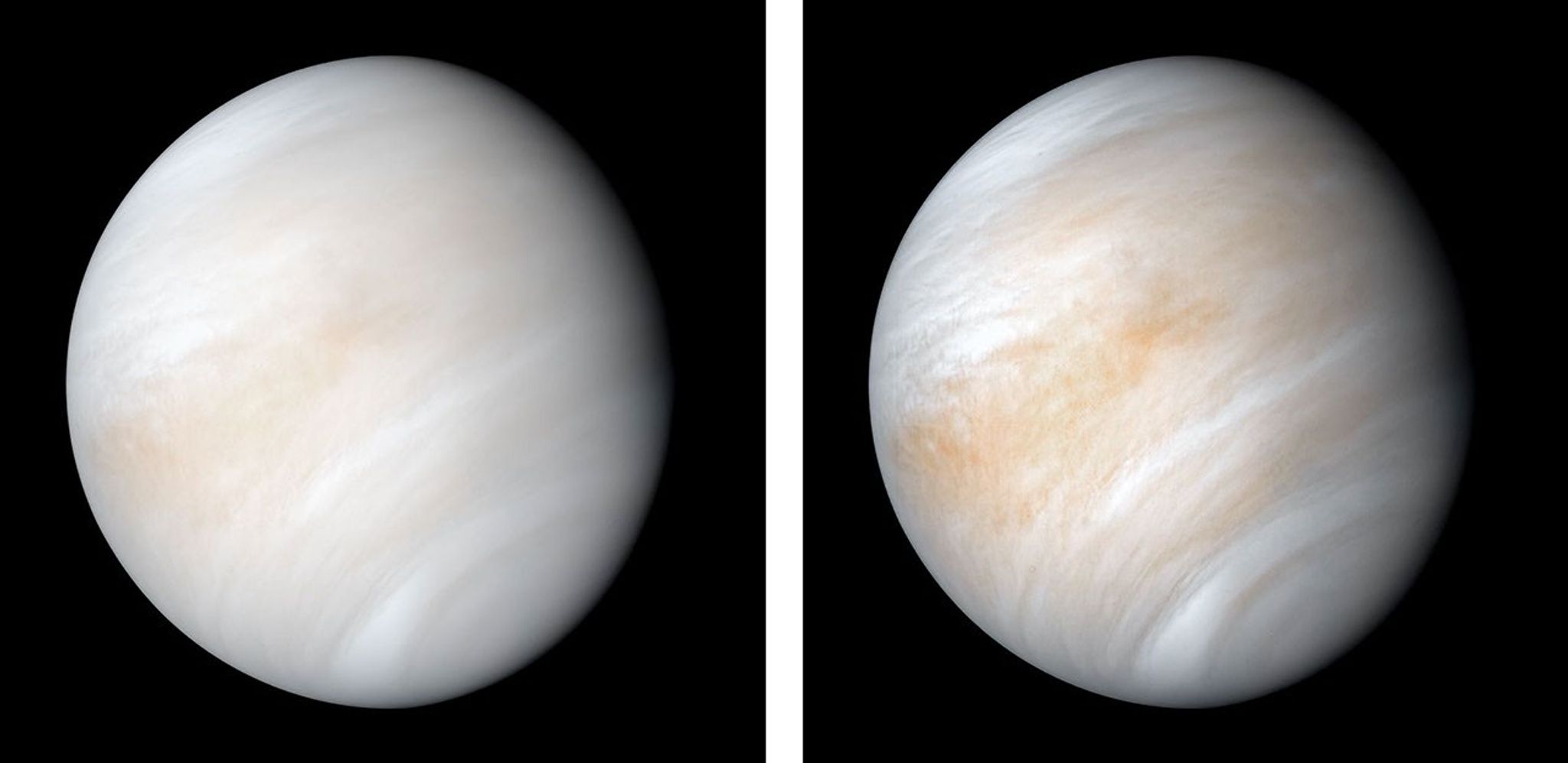 Two views of yellowish-brown planet Venus. One shows more cloud detail thanks to enhanced image processing.