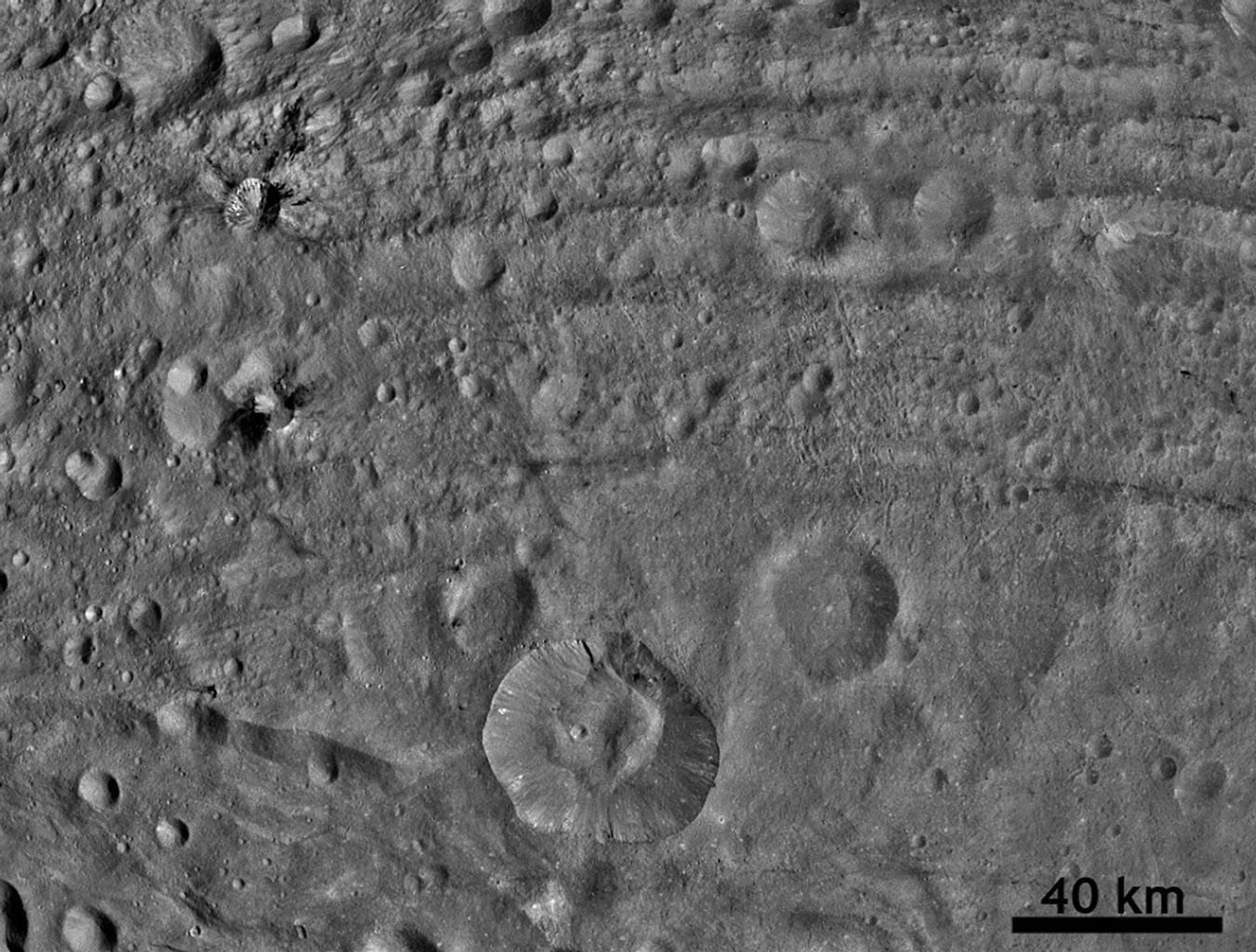 Worm-like Markings on Vesta's Surface