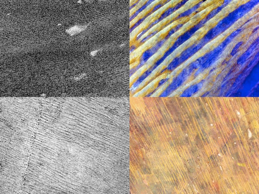 Comparison between dunes on Titan and on Earth