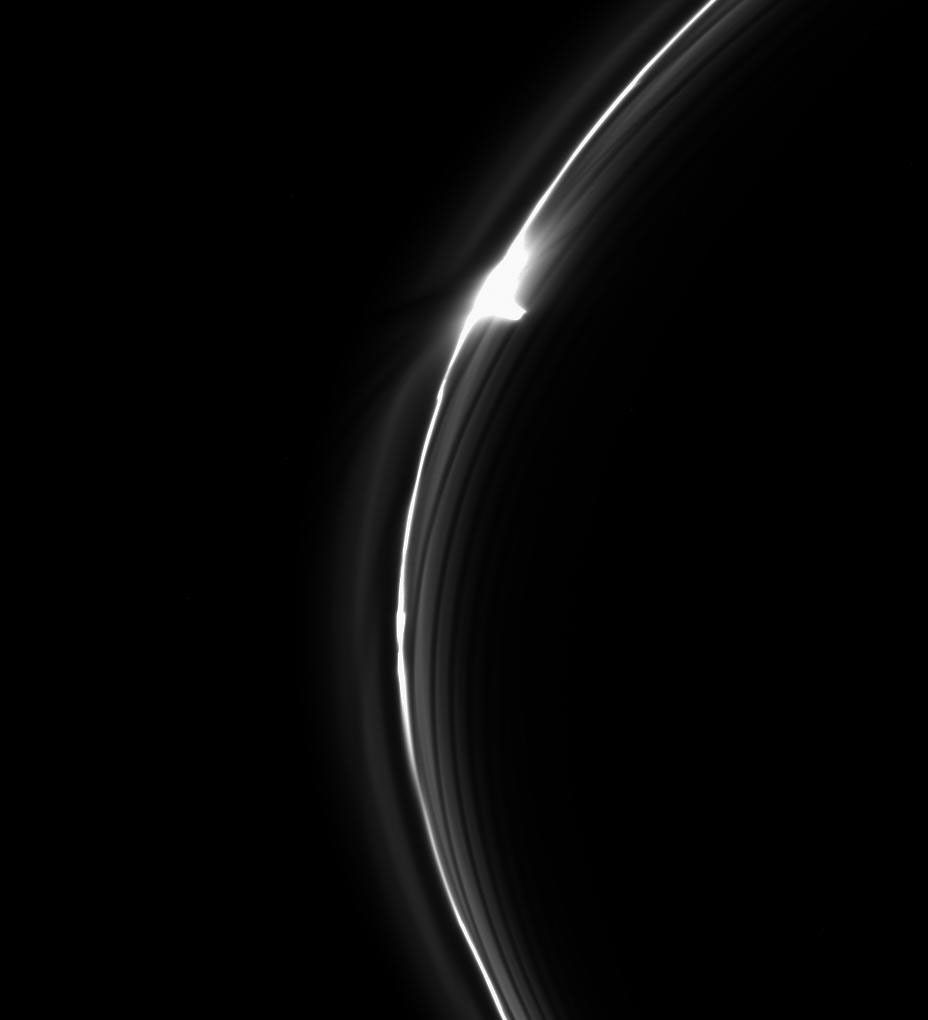 Saturn's dynamic F ring