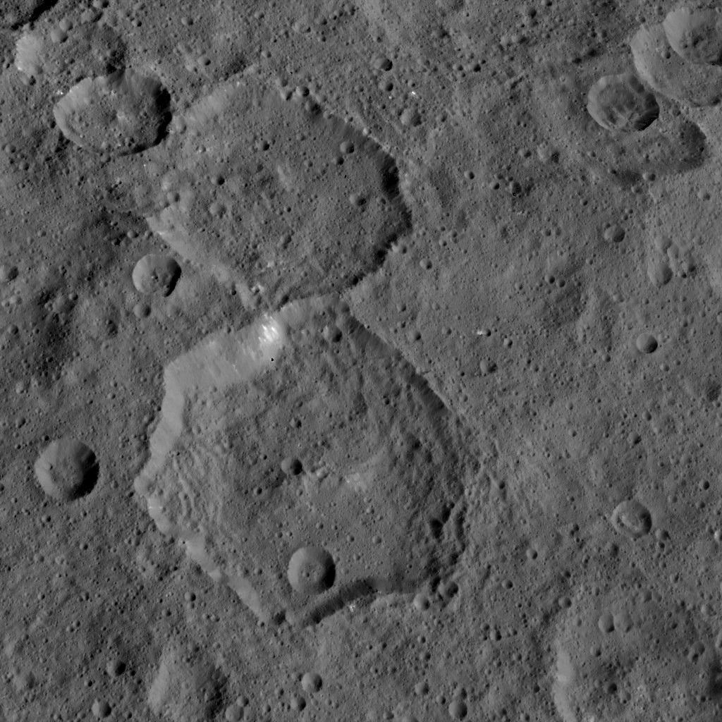 Dawn HAMO Image 30