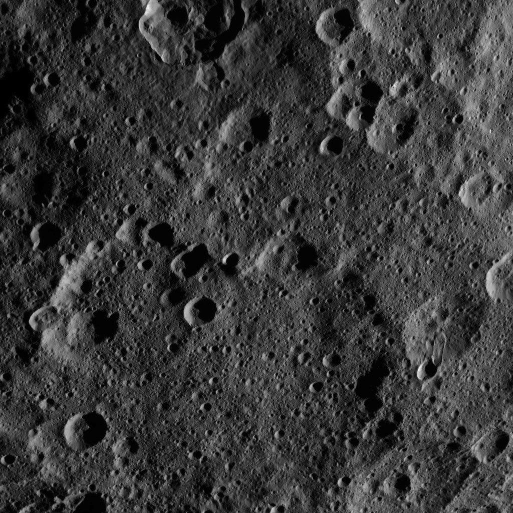 Dawn HAMO Image 36