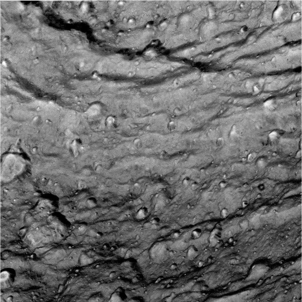 closeup image of Tethys