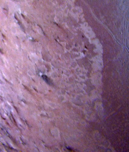 This false color image of Triton is a composite of images taken through the violet, green and ultraviolet filters.