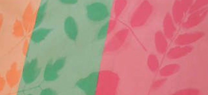 A construction paper Sun print of leaves.