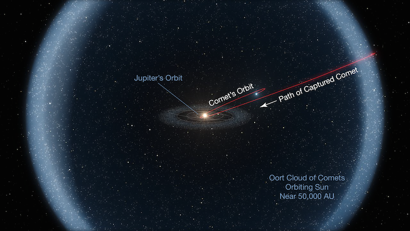 This image depicts a vast system, not drawn to scale. The Sun is at the center of the small circle that represents the orbit of Jupiter at 5 au. Jupiter itself is not depicted. The Oort Cloud would be 10,000 times farther out.