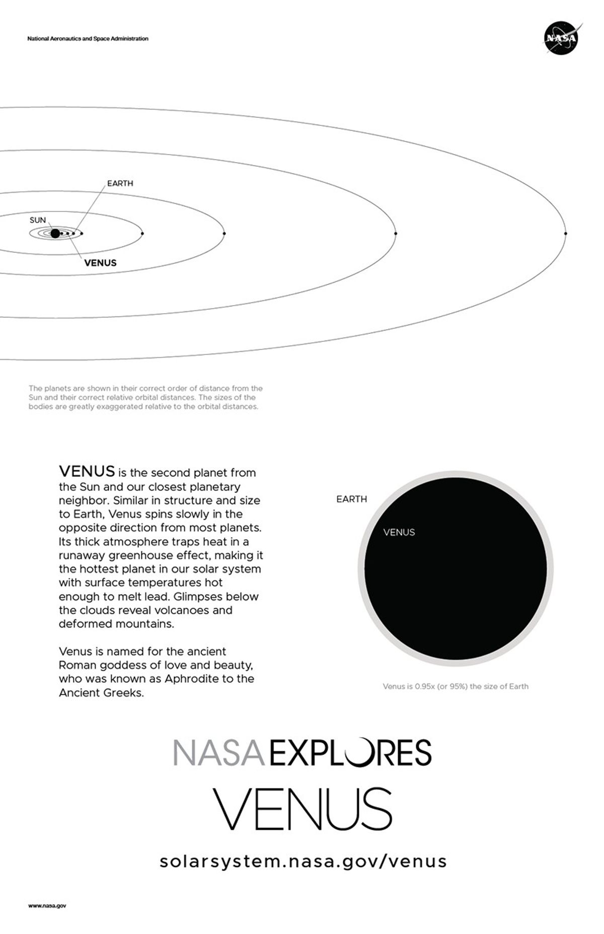Venus Poster Back