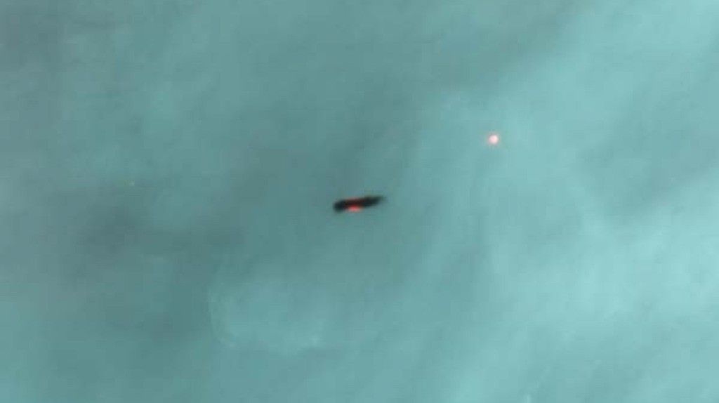 Newborn planetary system