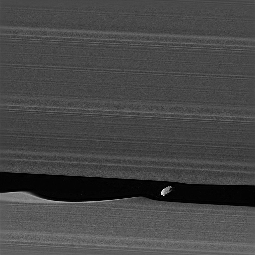 Black and white image of Daphnis among the rings of Saturn.