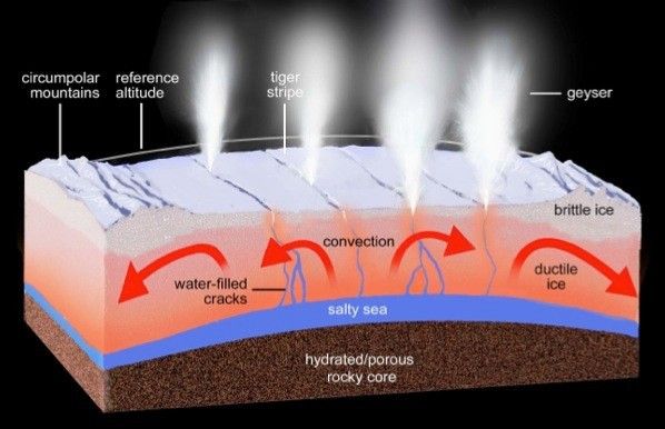 Interior Structure of Enceladus Differentiated