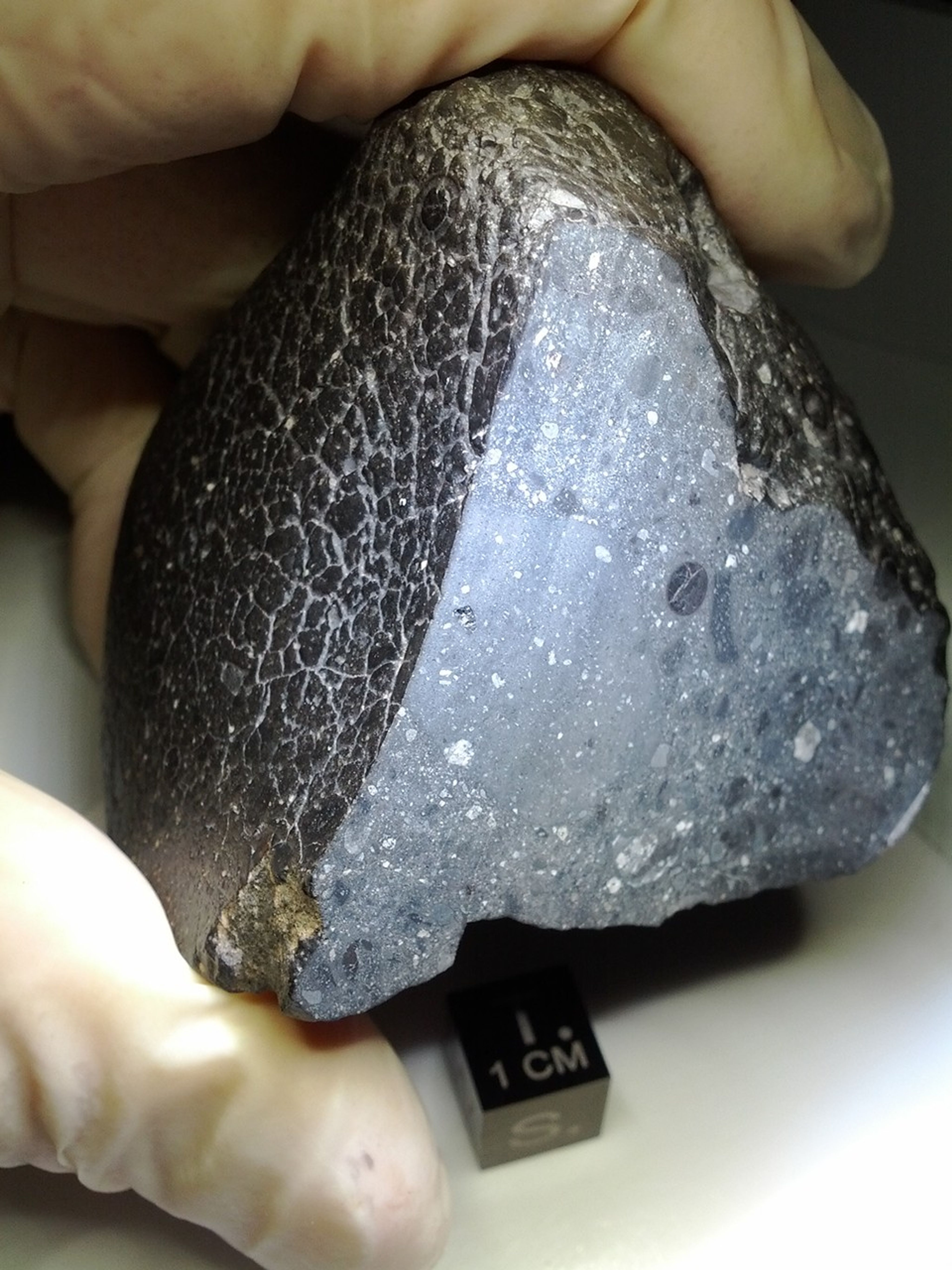 Meteors and Meteorites Facts NASA Science
