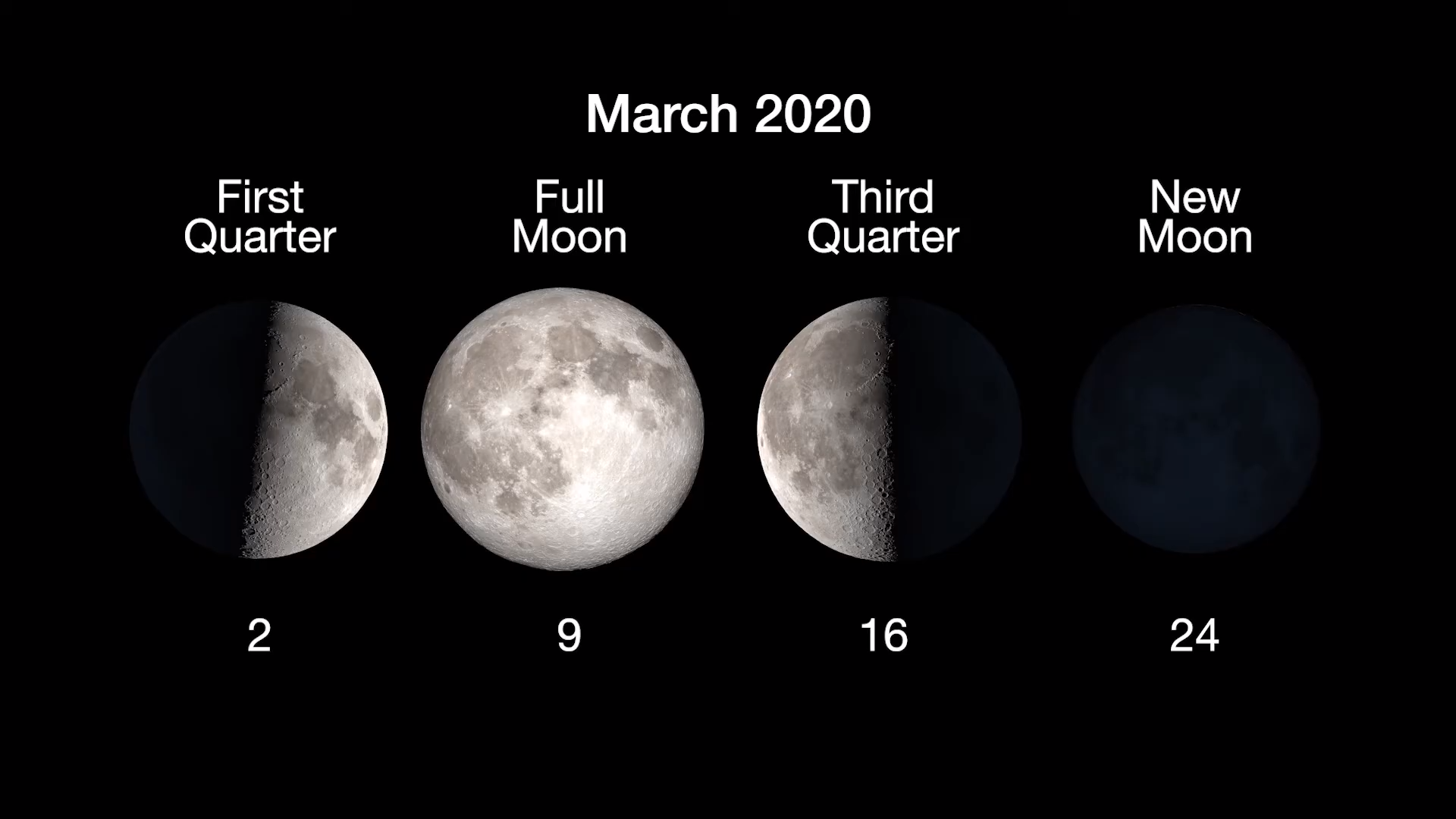 moon phase chart