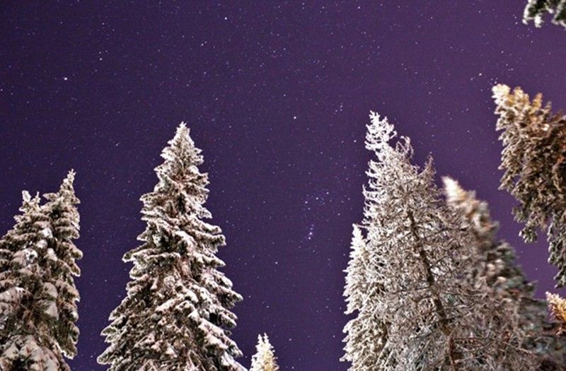 Starry Night Sky