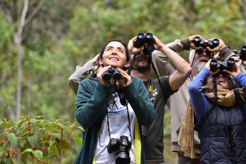 Sabrina Delgado Arias Birdwatching