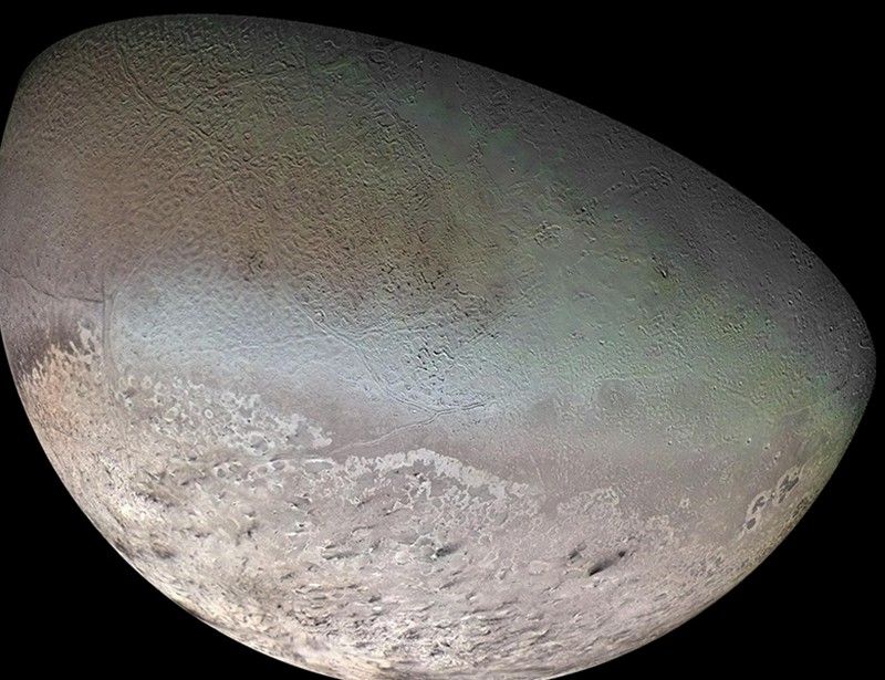 Triton