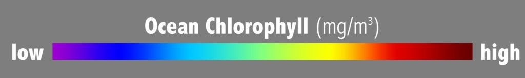 oceanchlorophyll