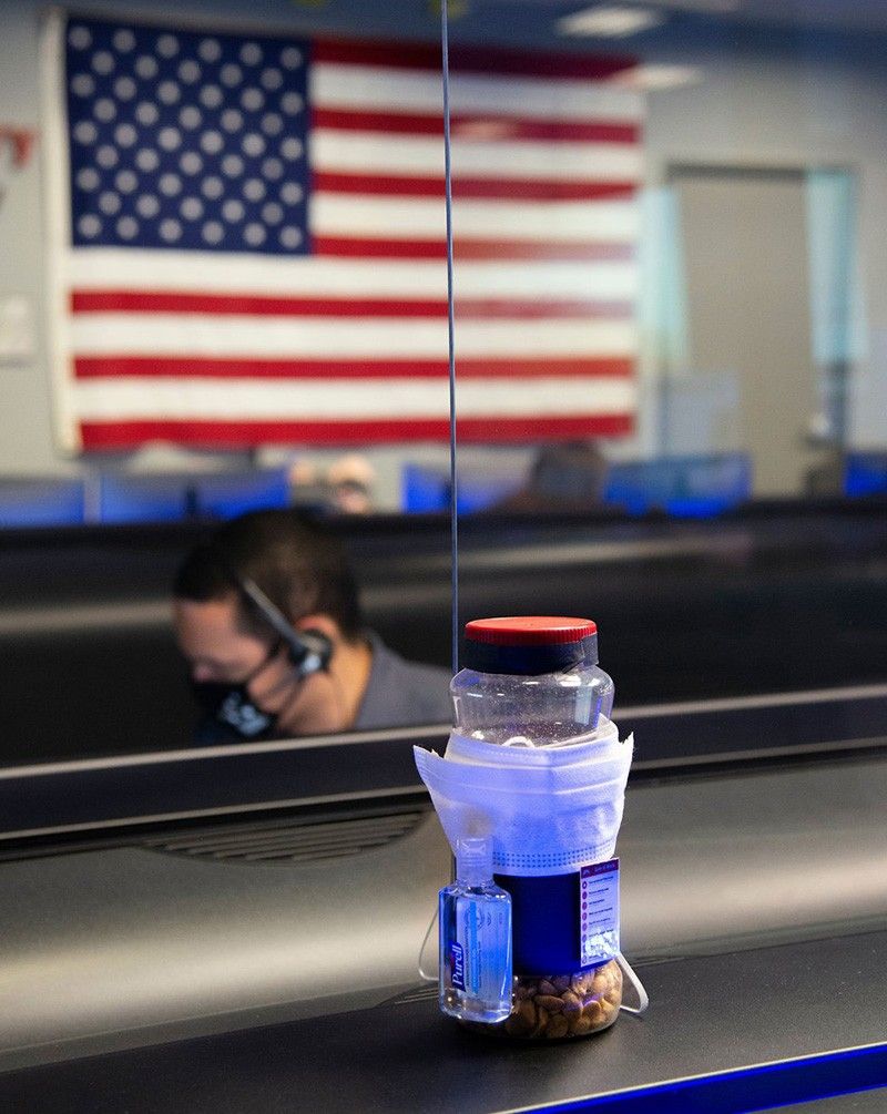 Peanuts for Perseverance