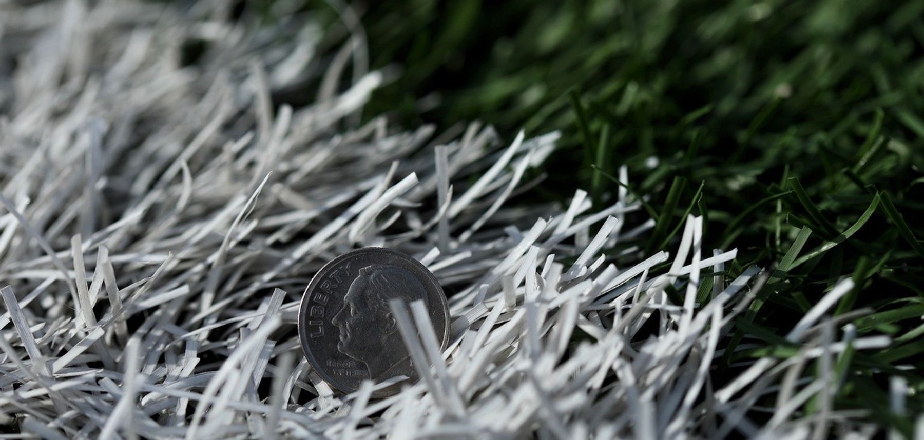 Dime in Grass
