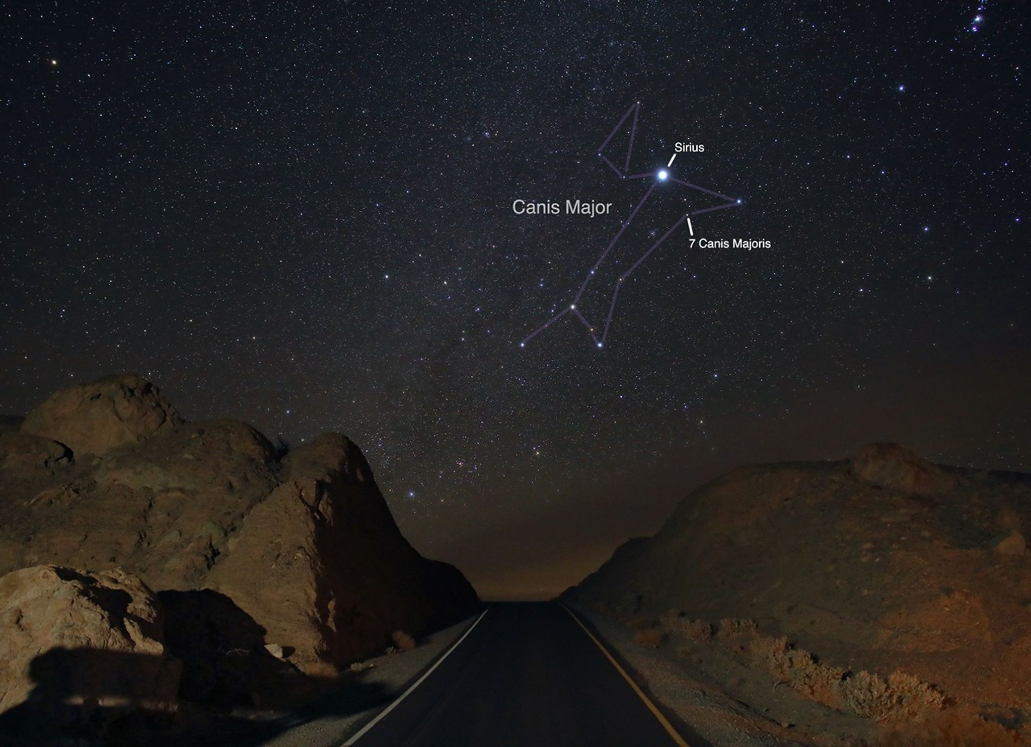 Canis Major