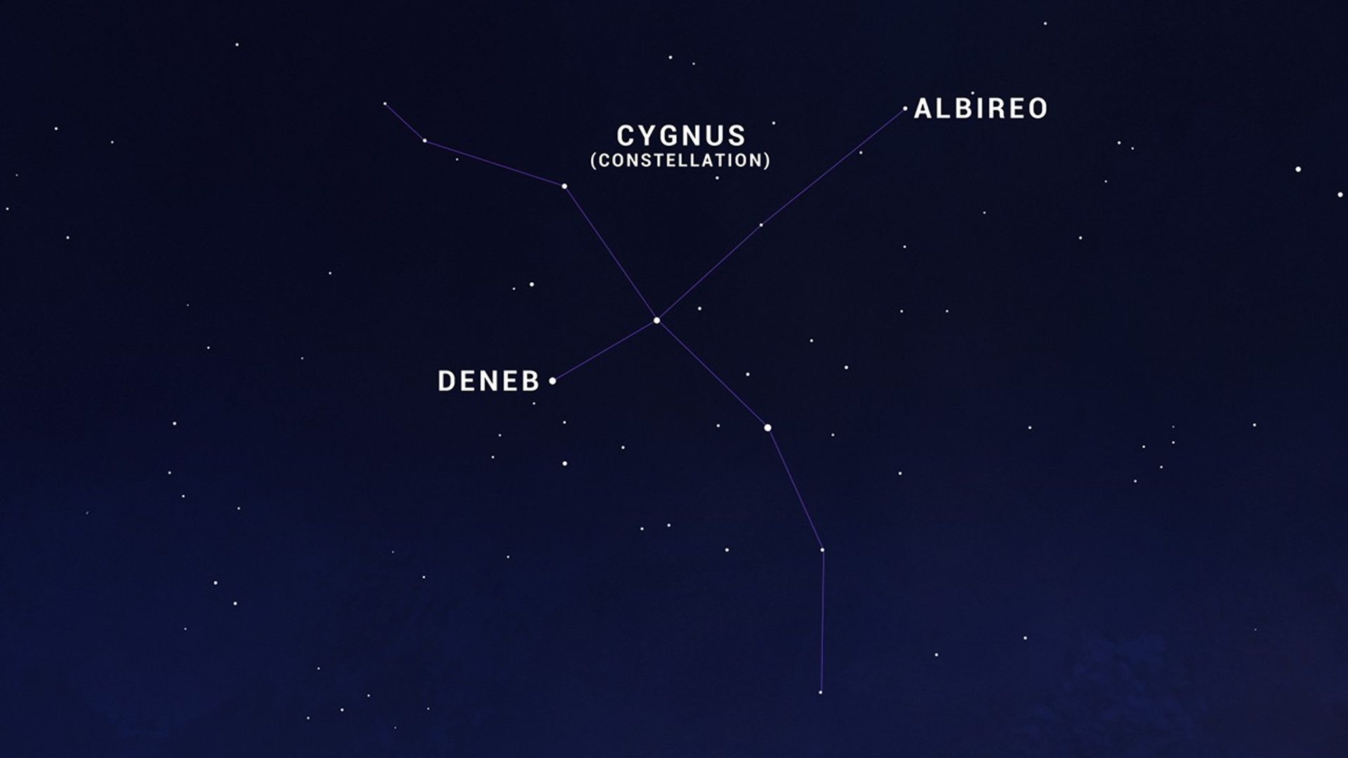 Cygnus constellation labeled