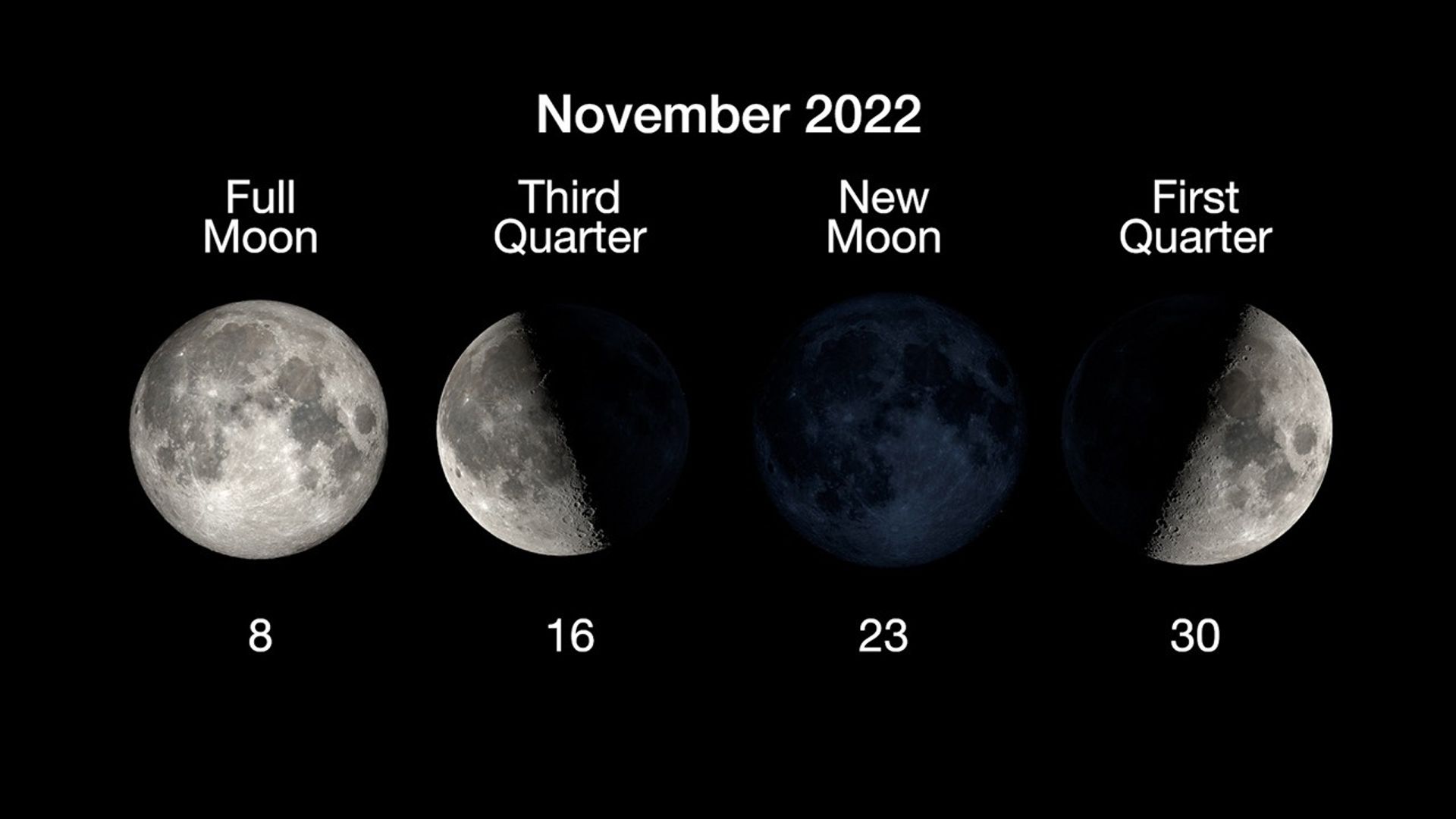 The four main phases of the Moon are illustrated in a horizontal row, with the full moon on November 8, third quarter on November 16, new moon on November 23, and first quarter on November 30.