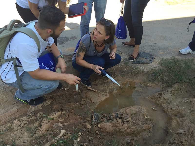 People studying geology